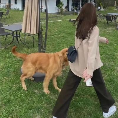 李清照封面